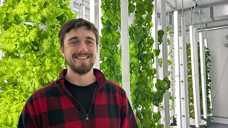 Bringing hydroponic farming to New Brunswick ‘food desert’ 