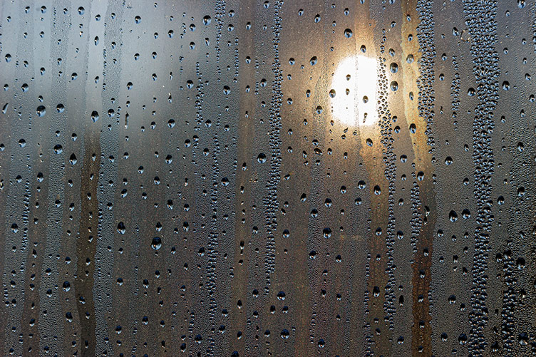 Roger Smith, Light Through a Curtain of Tears, 2025