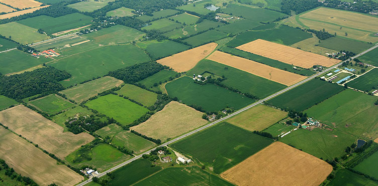 An aerial view of land.